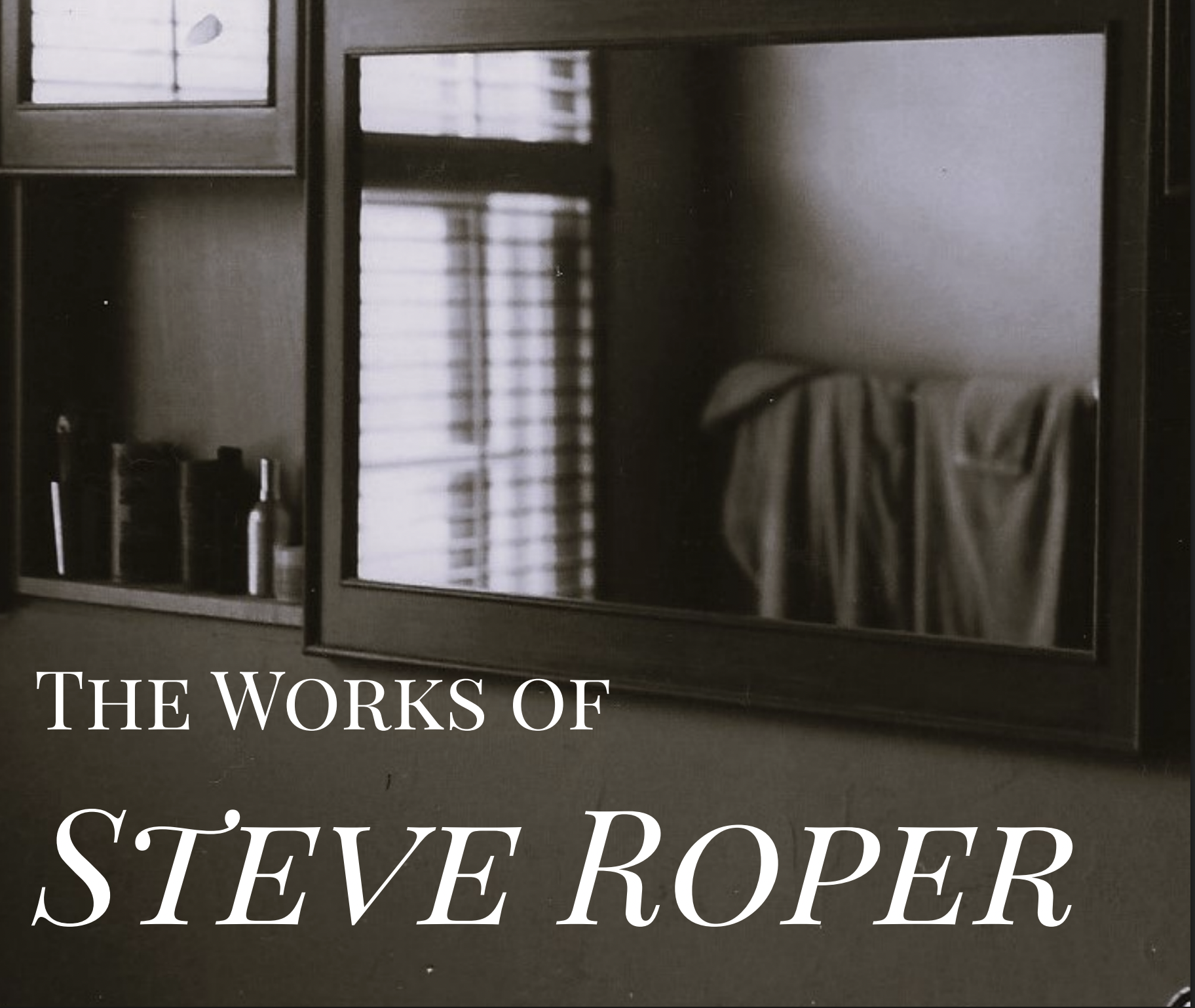 Screenshot of Steve Book